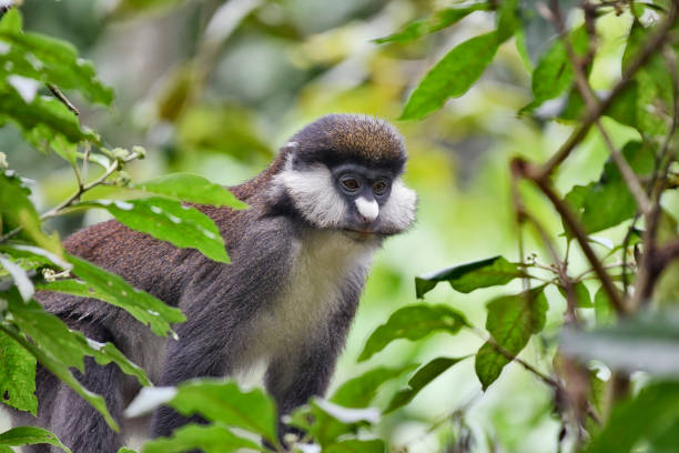 Queen Elizabeth National Park